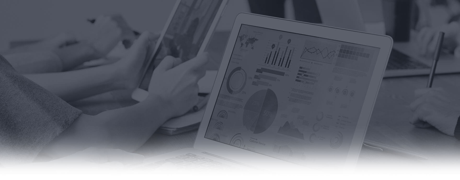 Meeram International - Leading IT and Software Development Solutions