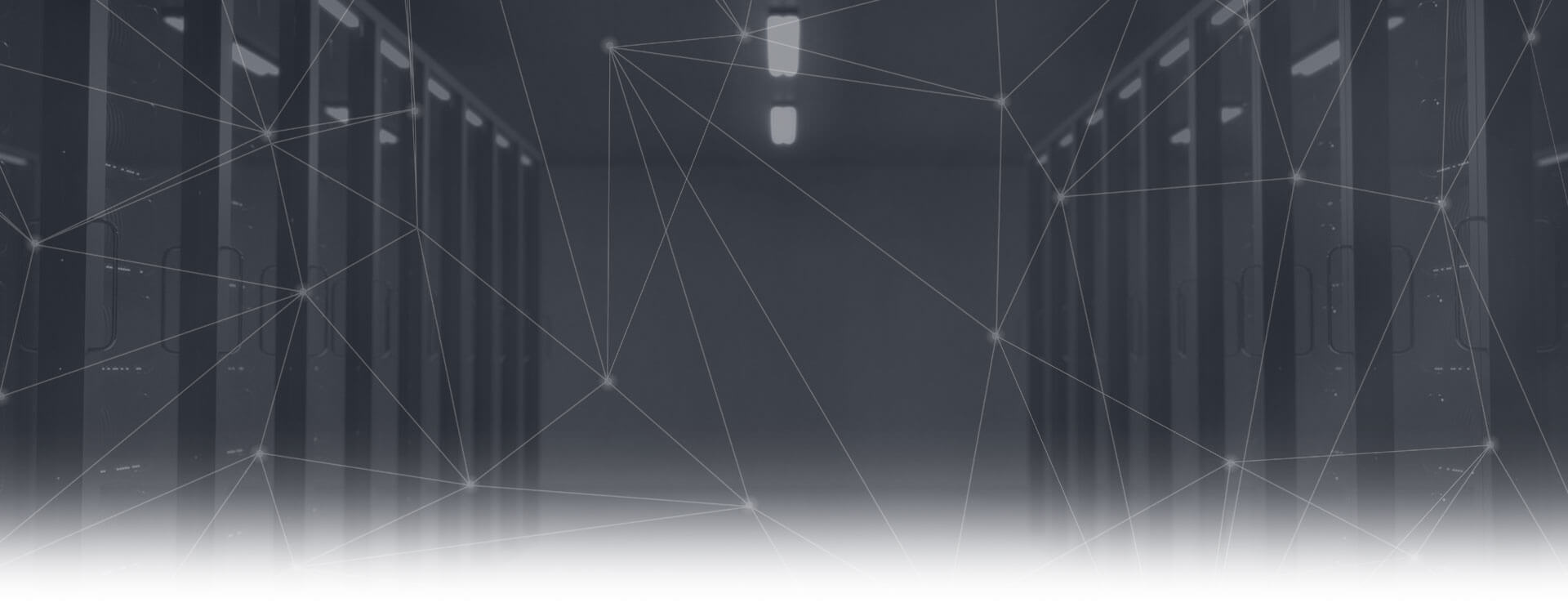 Meeram International - Leading IT and Software Development Solutions